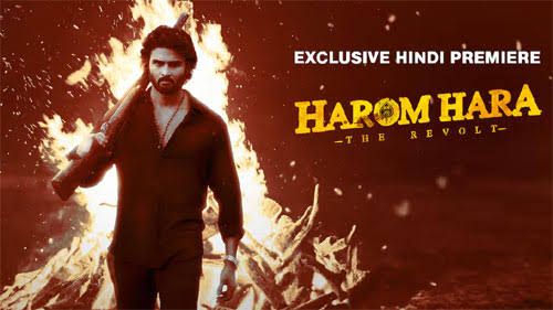 Best South Indian Movies Dubbed in Hindi 2024